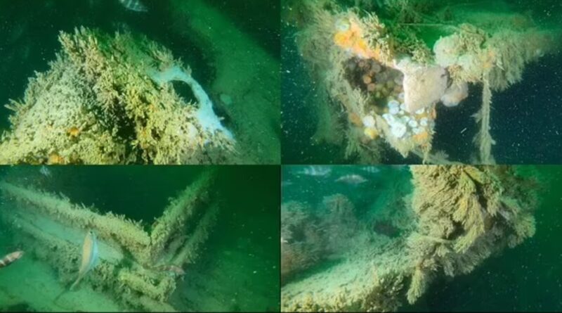 The wreck of the John Mahn
